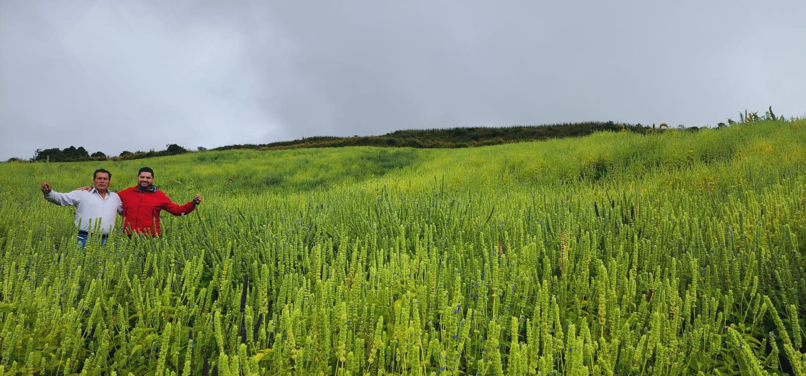 WhatsApp Image 2025-04-07 at 8.30.45 AM (2)